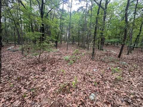 TBD UNIT#409E KIAMICHI WILDERNESS, Moyers, OK 74557