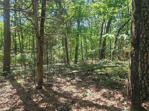 TBD N State Hwy 217 HWY, Charleston, AR 72933