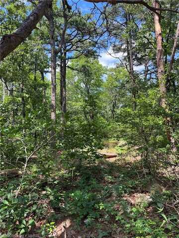 Tract 3 K Trail, Talihina, OK 74571