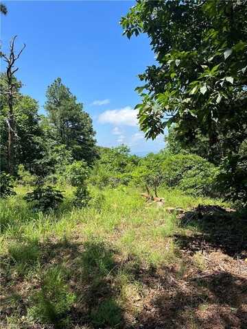 Tract 4 K Trail, Talihina, OK 74571