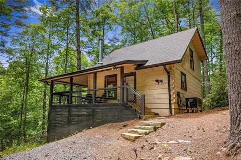 25 Hidden Ridge Court, Cherry Log, GA 30522