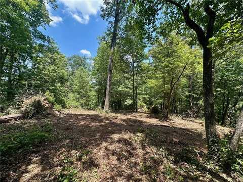 6.2 Mincey Acres Drive, Murrayville, GA 30564