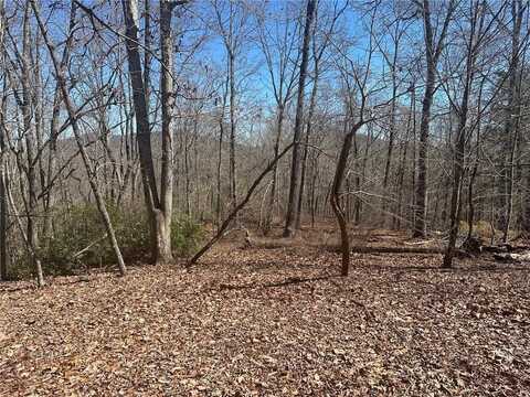 6.2 Mincey Acres Drive, Murrayville, GA 30564