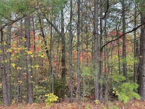 125 Spring Lake Trail, White, GA 30184