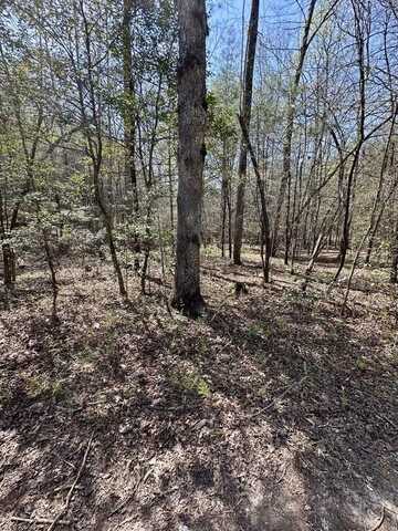Tr C East New Hope Road, Ellijay, GA 30536