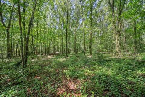 Lot 2 Lord Road, Commerce, GA 30530