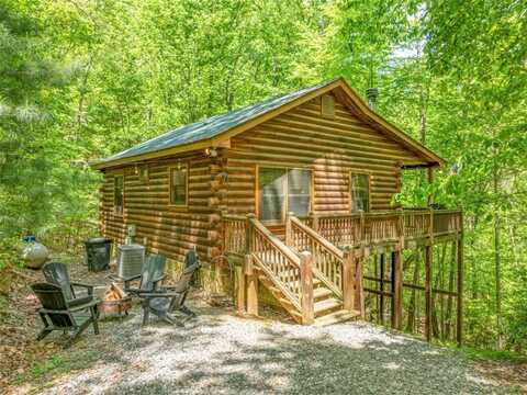 7 Ascherman Court, Blue Ridge, GA 30513