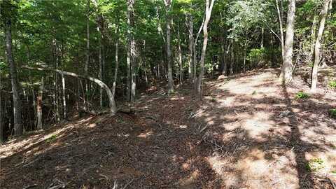 Tr 2 East New Hope Road, Ellijay, GA 30536