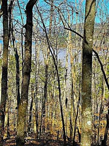 0 Carters Overlook Drive, Chatsworth, GA 30705