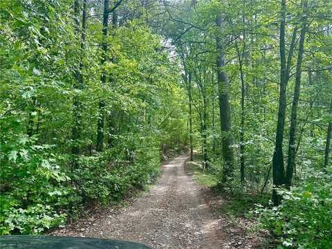 0 Charlie Lemley Road, Dawsonville, GA 30534