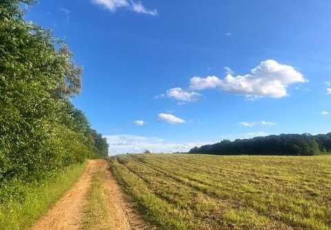 Lot 3 Lovebridge Rd, Calhoun, GA 30701