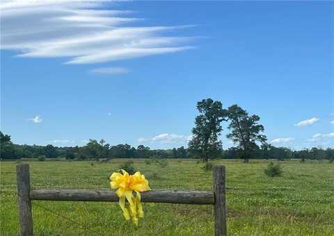 Lot 3 Taylor Bridge, Calhoun, GA 30701