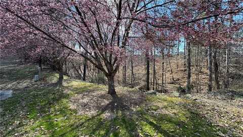 5213 Prestley Crossing Lane, Douglasville, GA 30135