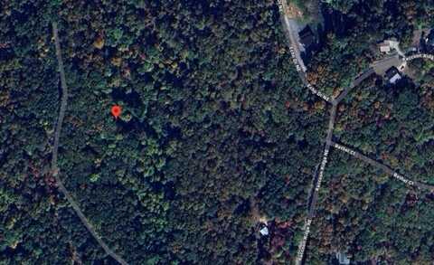 1009 Cut Drive, Ranger, GA 30734