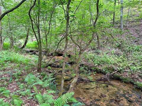 10-/+ Freedom View Dr., Dahlonega, GA 30533