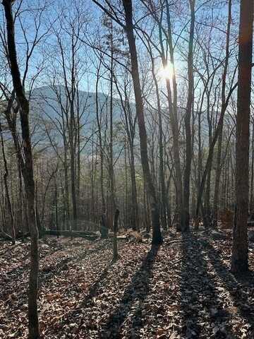 0 Moon Circle, Sautee Nacoochee, GA 30571