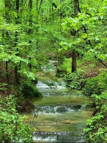 2 Brushy Mountain Road, Rockmart, GA 30153