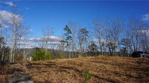 0 Muscadine Lane, Chatsworth, GA 30705