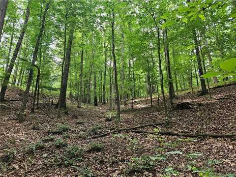 13 Ball Creek Way, Atlanta, GA 30350