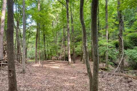 90 Cardinal Cove, Big Canoe, GA 30143