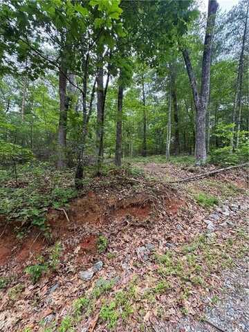 0 Nimblewill Creek Road, Dahlonega, GA 30533