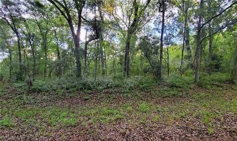 undefined, Webster, FL 33597