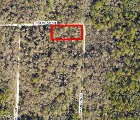 undefined, Webster, FL 33597