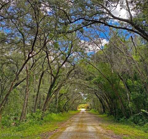 undefined, Webster, FL 33597