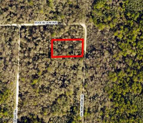 undefined, Webster, FL 33597