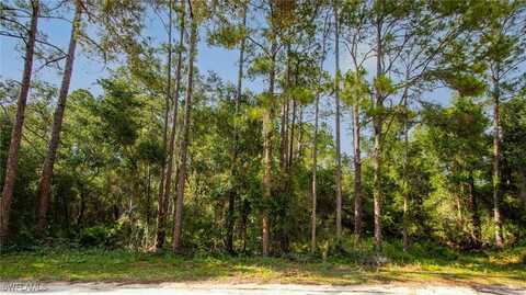 undefined, Webster, FL 33597