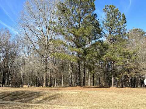 37 Crestridge Dr (Lot 37) Drive, Waynesboro, GA 30830