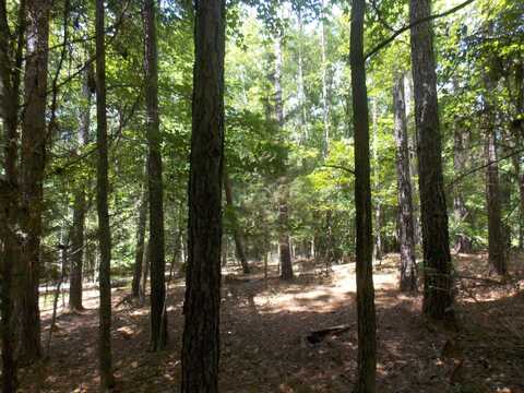 1054 Pine Point Lane, Tignall, GA 30668
