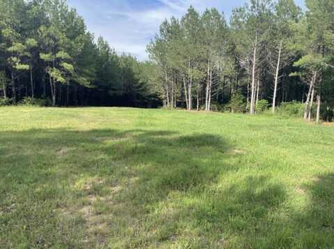A 00 Hwy 220 W, Lincolnton, GA 30817