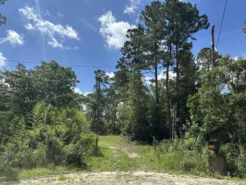 170 Pressley Lane, Hephzibah, GA 30815