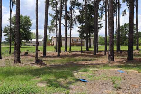647 Murphy Street, Midville, GA 30441