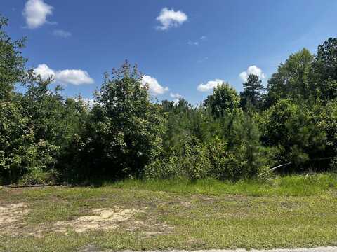 0 Young Street, Wrens, GA 30833