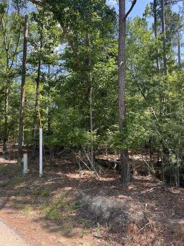Lot 112 Pawnee Drive, Lincolnton, GA 30817