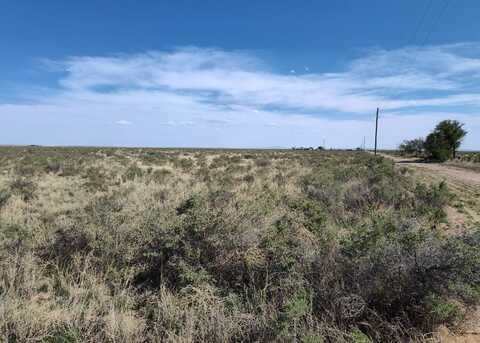 Ice Plant Court, McIntosh, NM 87035