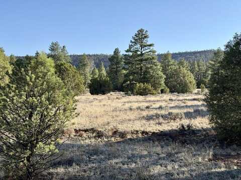 Lot 21 Cottonwood Lane, Ramah, NM 87321