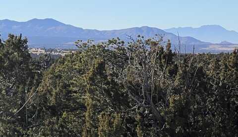 1957 DEER CANYON Trail, Mountainair, NM 87036