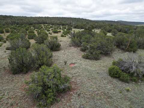 0 Windhaven Lane, Edgewood, NM 87015