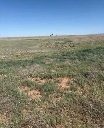 Bluegrass Rd,-Tract 4S, Estancia, NM 87016