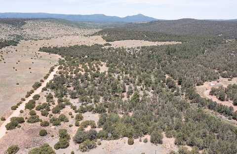Tract V-A-1 4th of July Road, Tajique, NM 87016