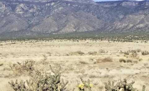 S Rio del Oro Lot 34 & 35, Los Lunas, NM 87031