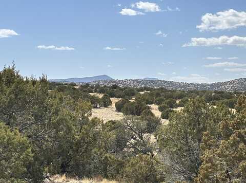 Lot 55 Pinon Springs Ranch, Magdalena, NM 87825