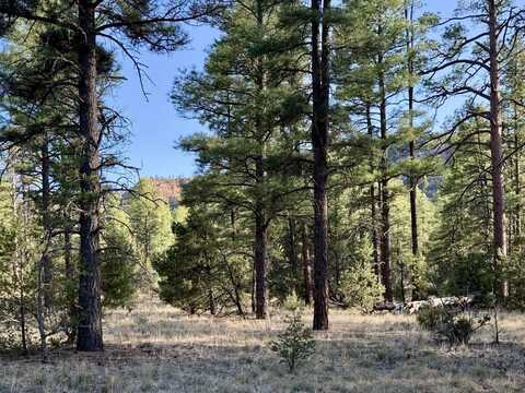 R211158 County Road 12 / Box S Rd, Ramah, NM 87321