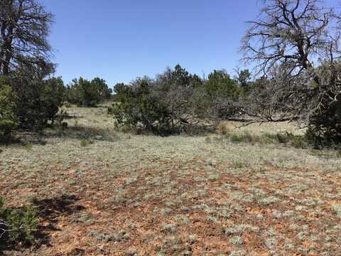 Lot 76 Peaceful Drive, Ramah, NM 87321