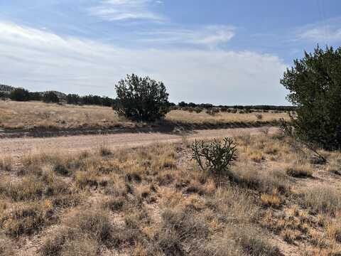 Blk 1 Valle De Manana lot: 3904, Socorro, NM 87801