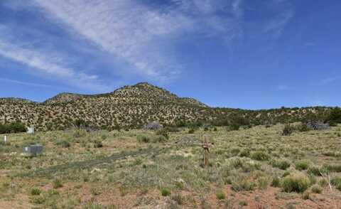 1864 DEER CANYON Trail, Mountainair, NM 87036