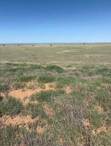Bluegrass Rd Tract 1S, Estancia, NM 87016